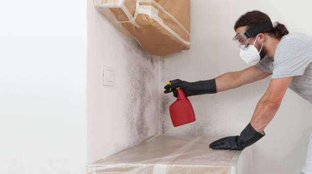 Professional Mold Remediation technician working in Triangle, VA