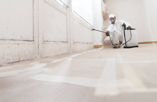 24/7 Emergency Mold Remediation experts in Triangle, VA