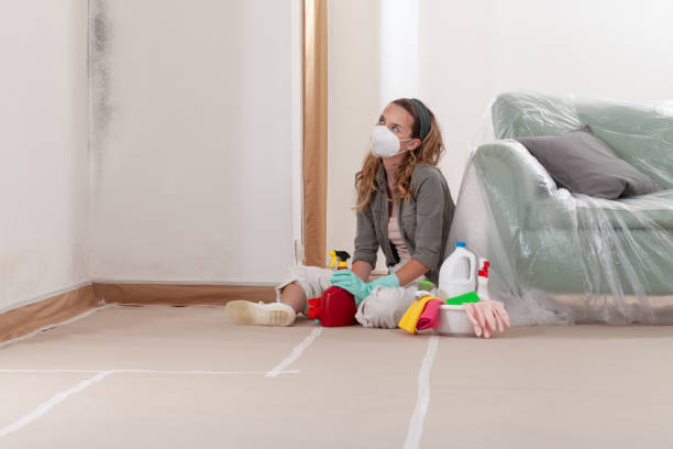 Reliable Mold Remediation contractor in Triangle, VA by WQB Mold Removal