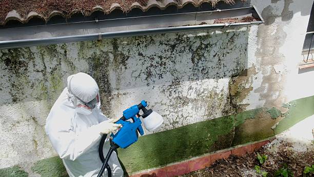 Top rated local Mold Remediation specialists in Triangle, VA